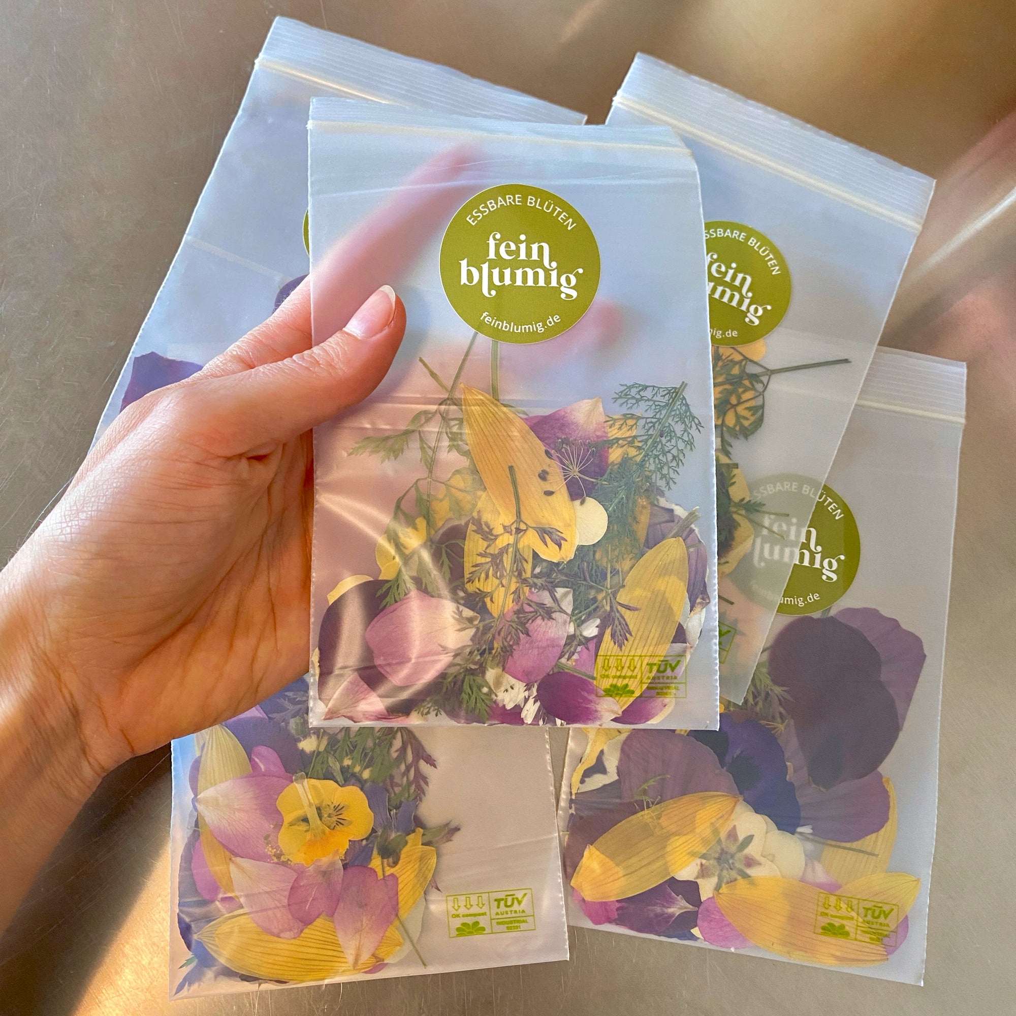 Blüten & Kräuter Bunt - 35 Stk gepresst