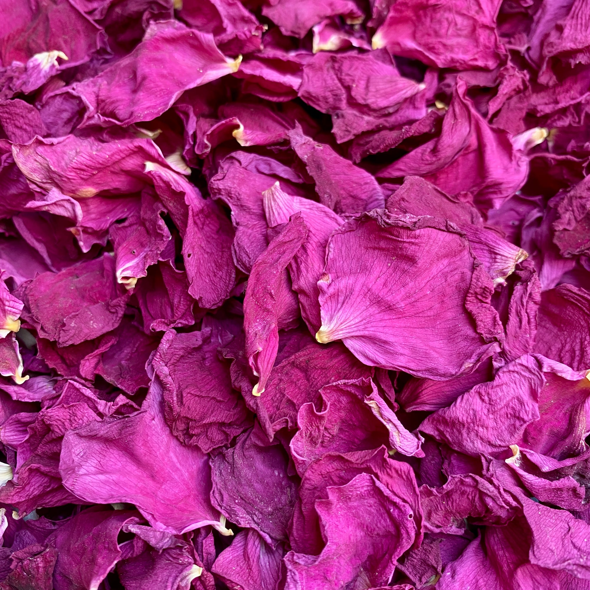 Rose Blütenblätter pink - 5g getrocknet