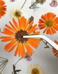 Blüten-Pinzette für filigrane Tortendekoration