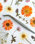 Blüten-Pinzette für filigrane Tortendekoration