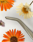 Gastro Pinzette 16cm gebogen - Hendi