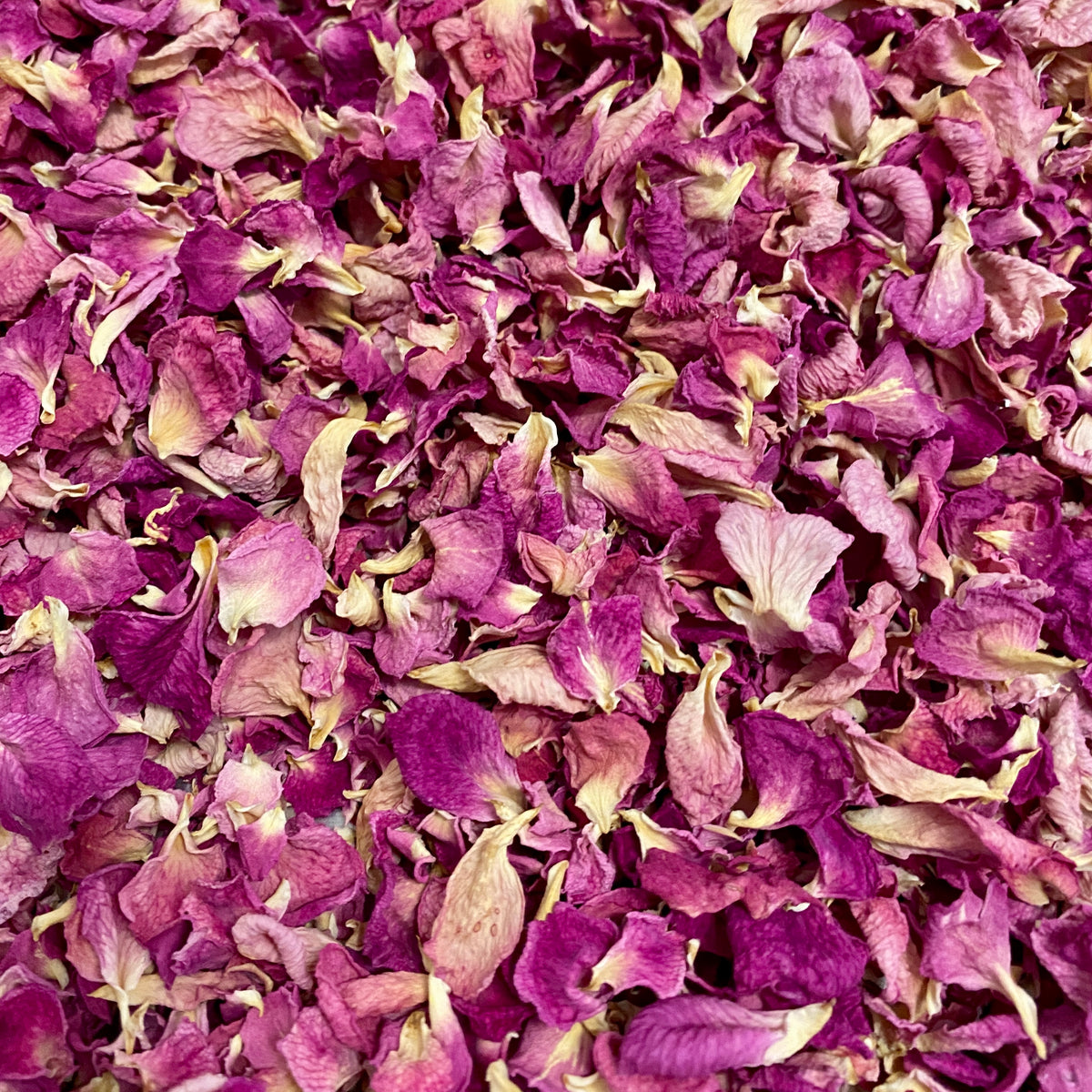 Rose Blütenblätter - 10 g getrocknet