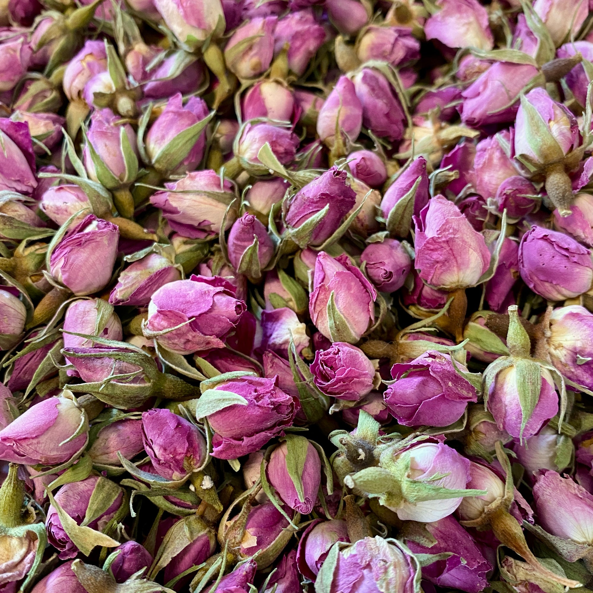 Rosenknospen Pink - getrocknet