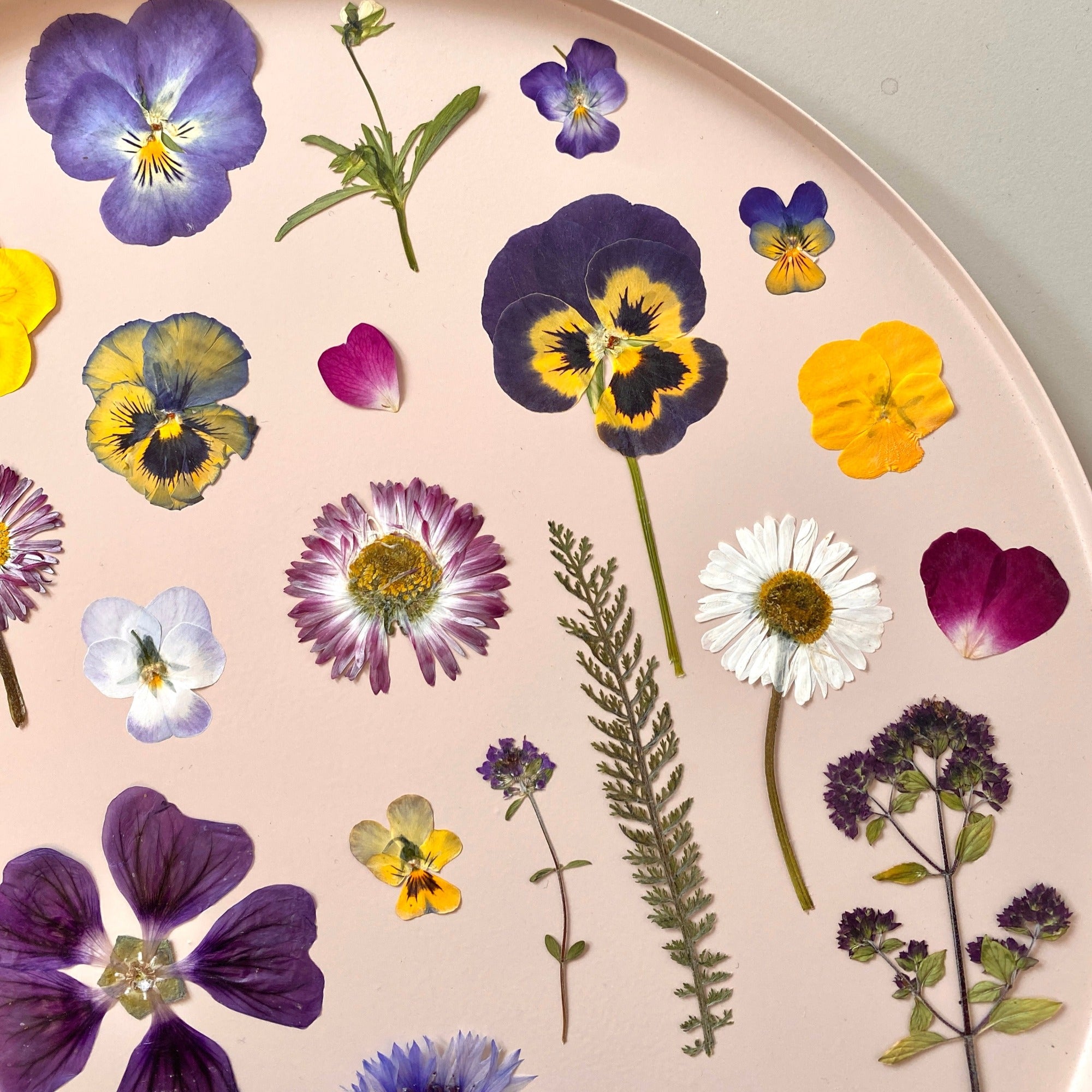 essbare gepresste Blumen