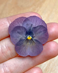 Gepresste Veilchen - Essbare Blüten - Zartes Lila - 12 Stk