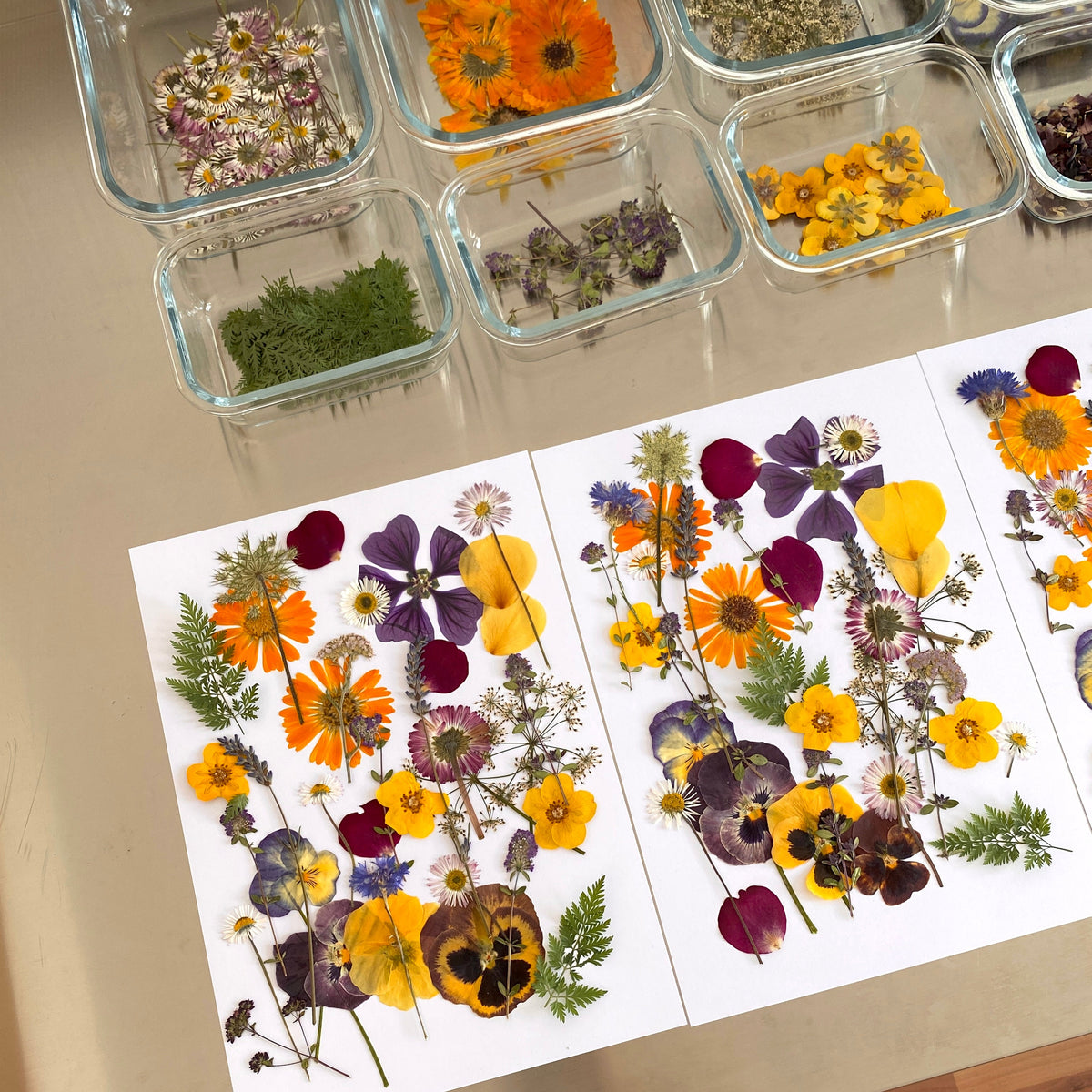 Handgepresste Essblüten - 40 bis 50 Stk