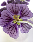 Gepresste Malven - Essbare Blüten - Violett - 5 Stk